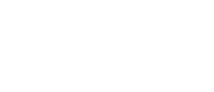 ssn.lat Logo